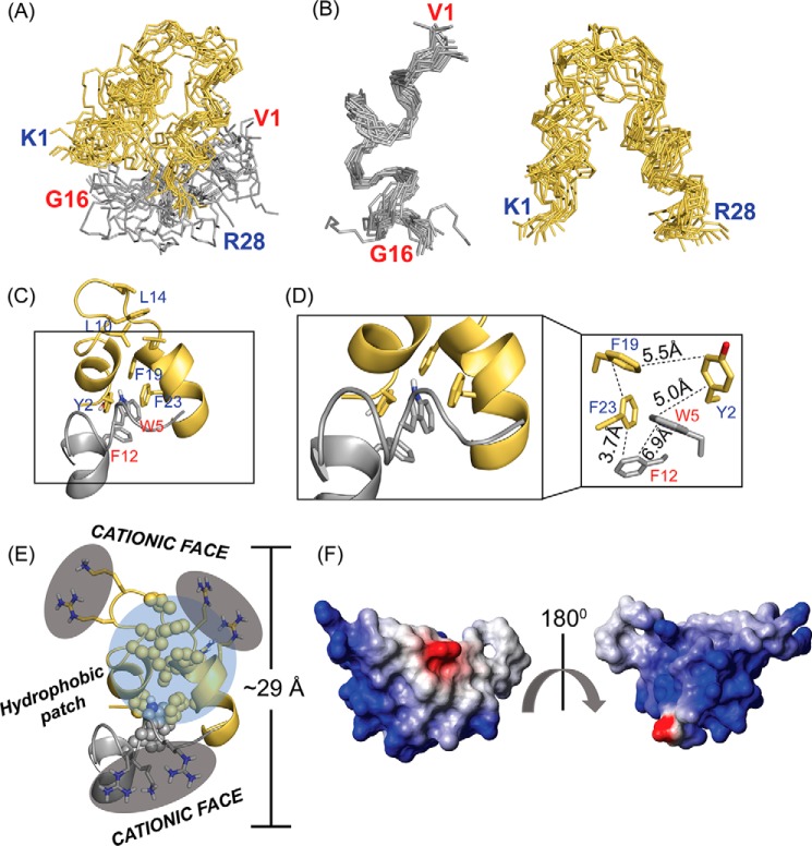 Figure 6.