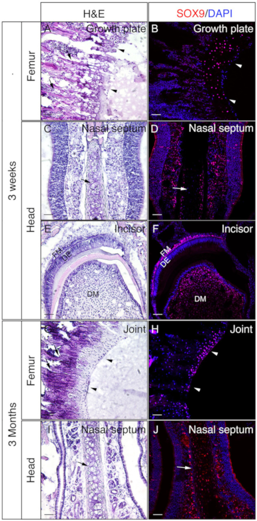 Figure 3: