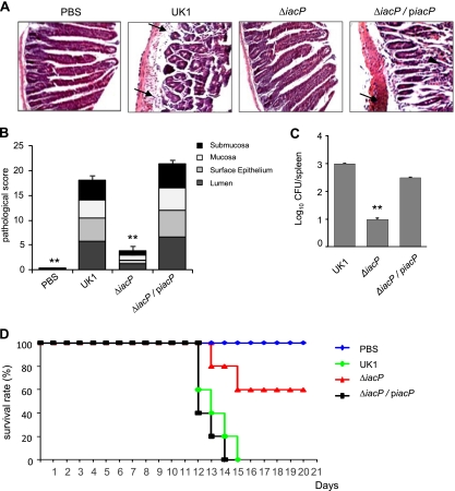 FIG. 6.