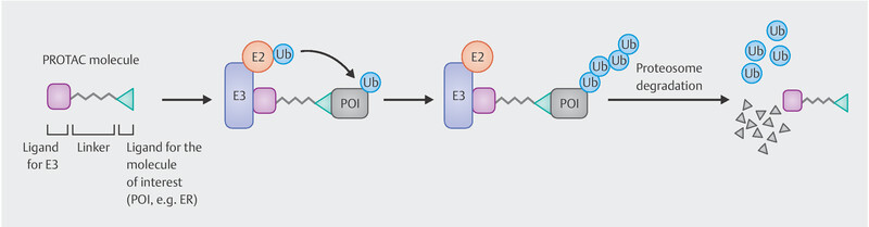 Fig. 2