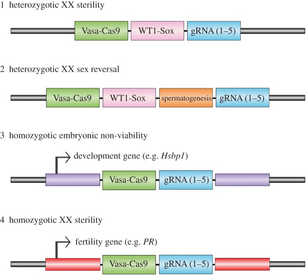 Figure 1.