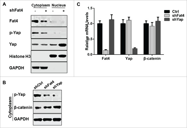 Figure 5.