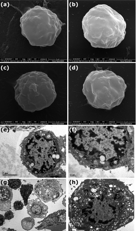 Fig. 4