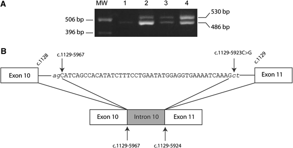 Fig. 3