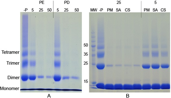 Fig. 5