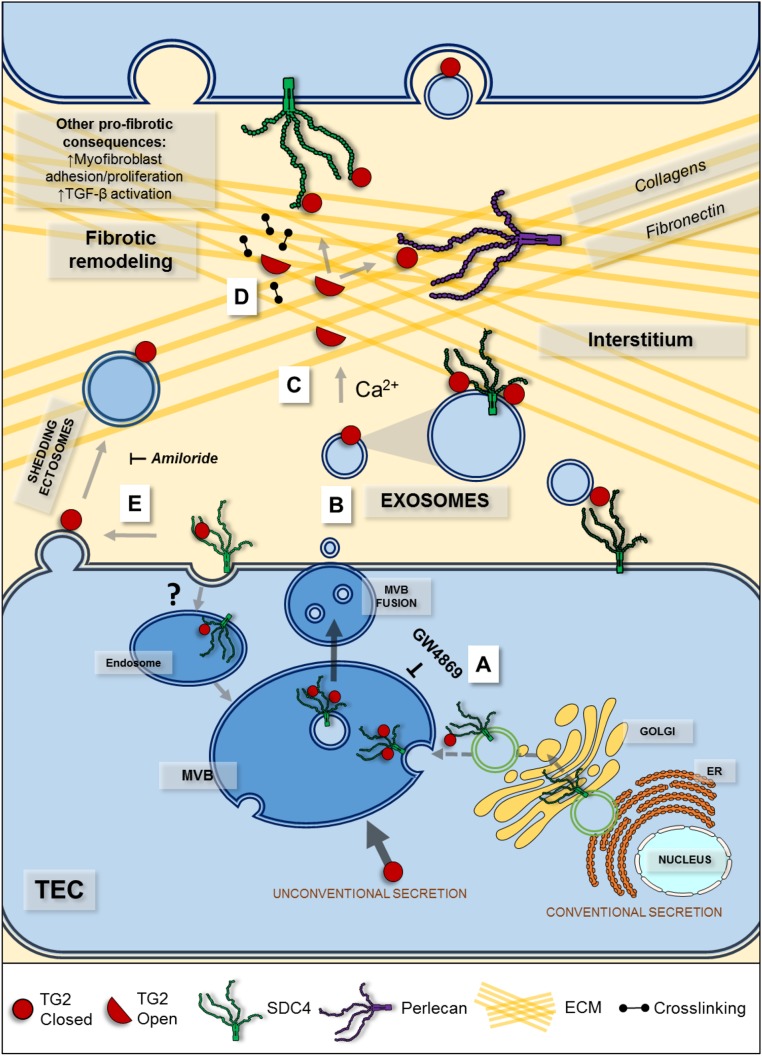 Figure 11.