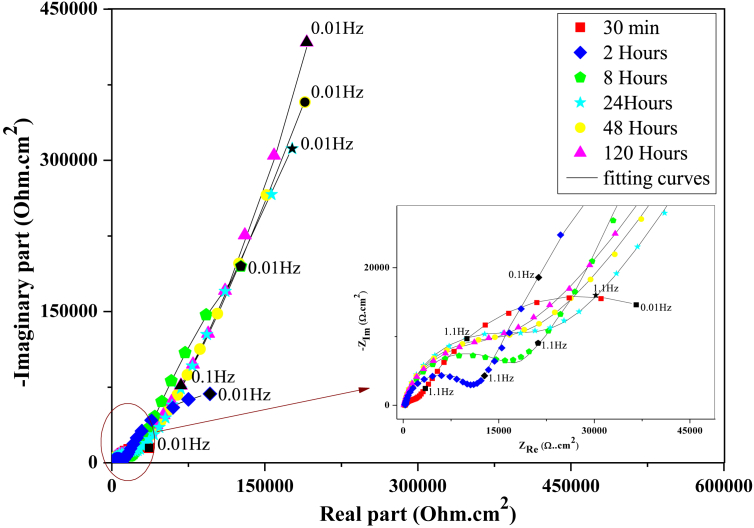 Figure 6