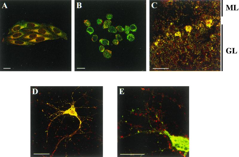 FIG. 9