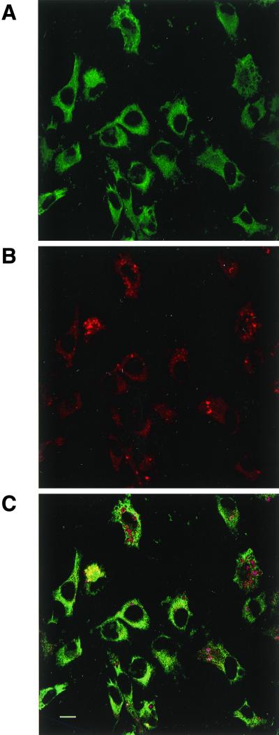 FIG. 10