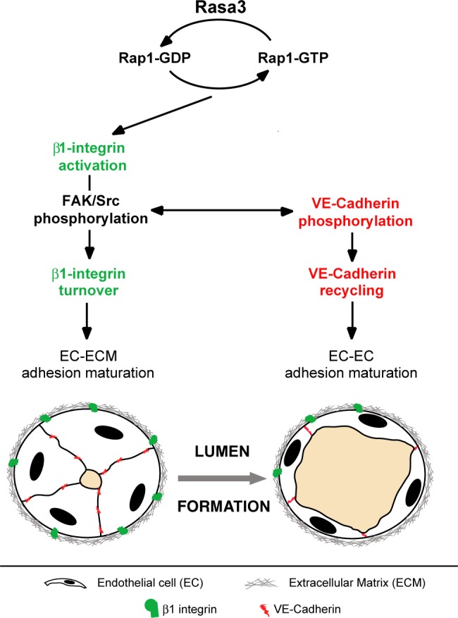 Fig 8