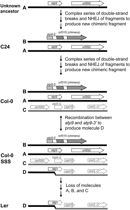 Figure 9.