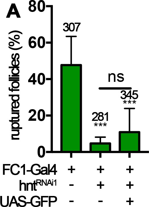 Figure 8—figure supplement 3.