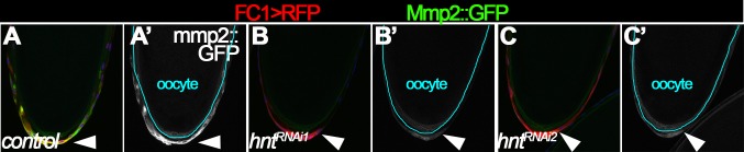 Figure 6—figure supplement 2.