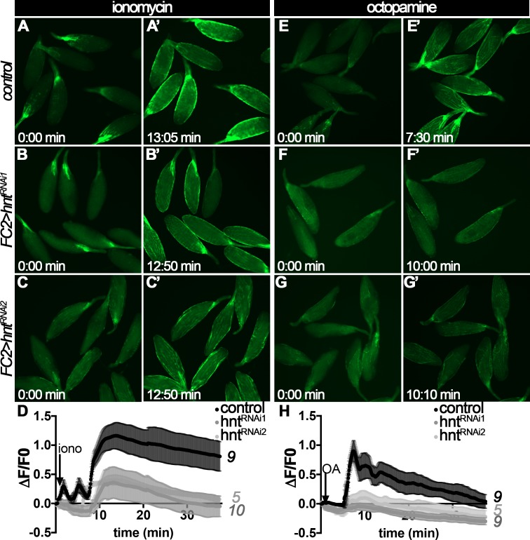 Figure 6—figure supplement 1.