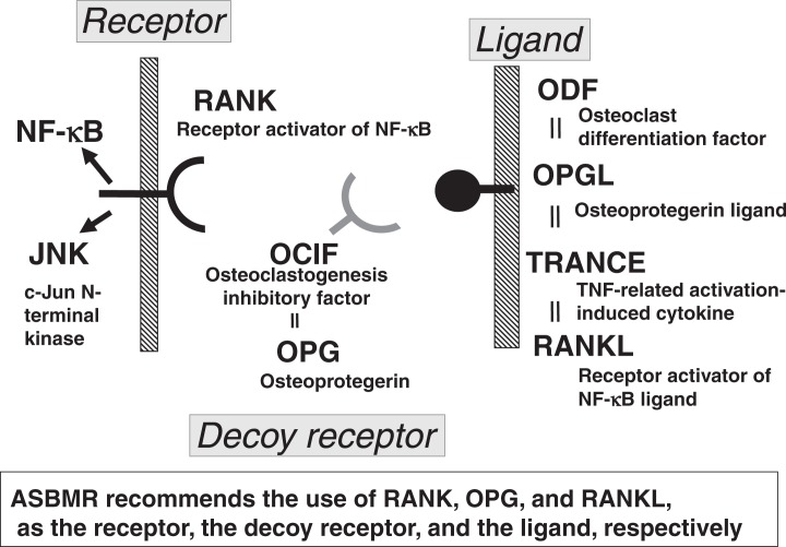 Fig. 12