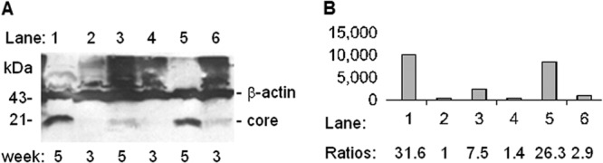 Fig 8