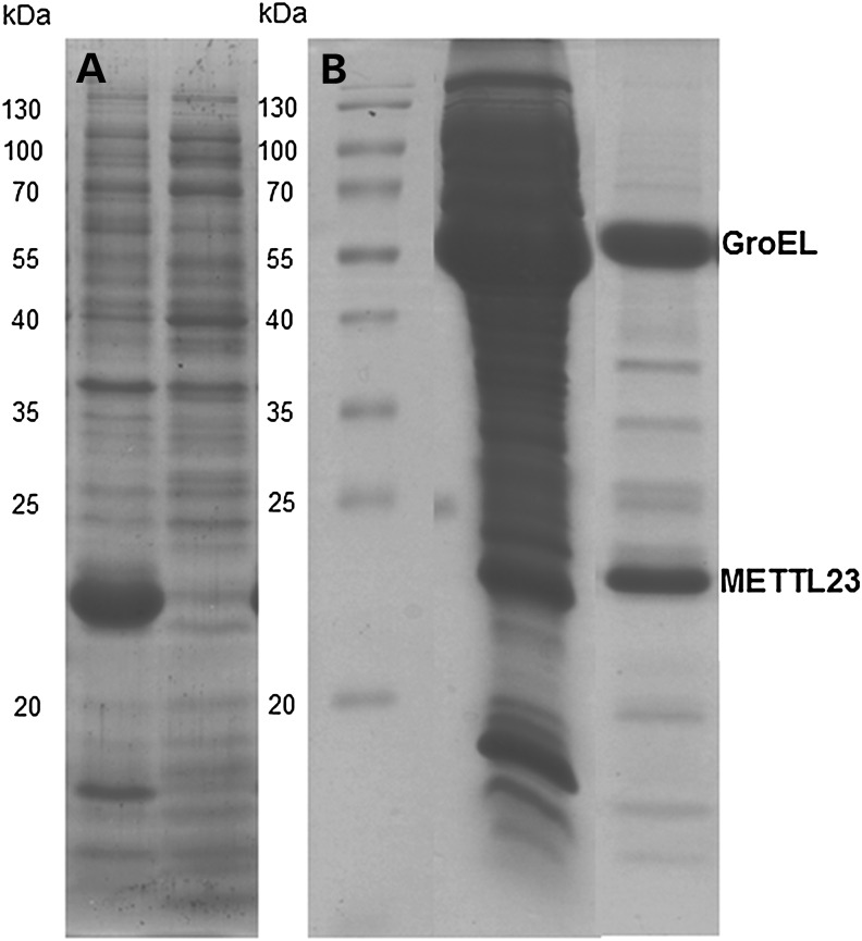 Figure 5.