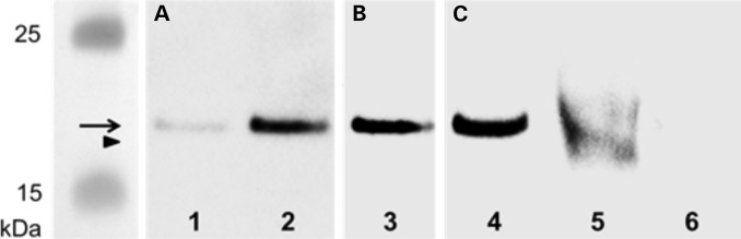 Figure 3.