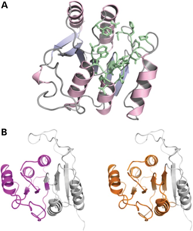 Figure 4.