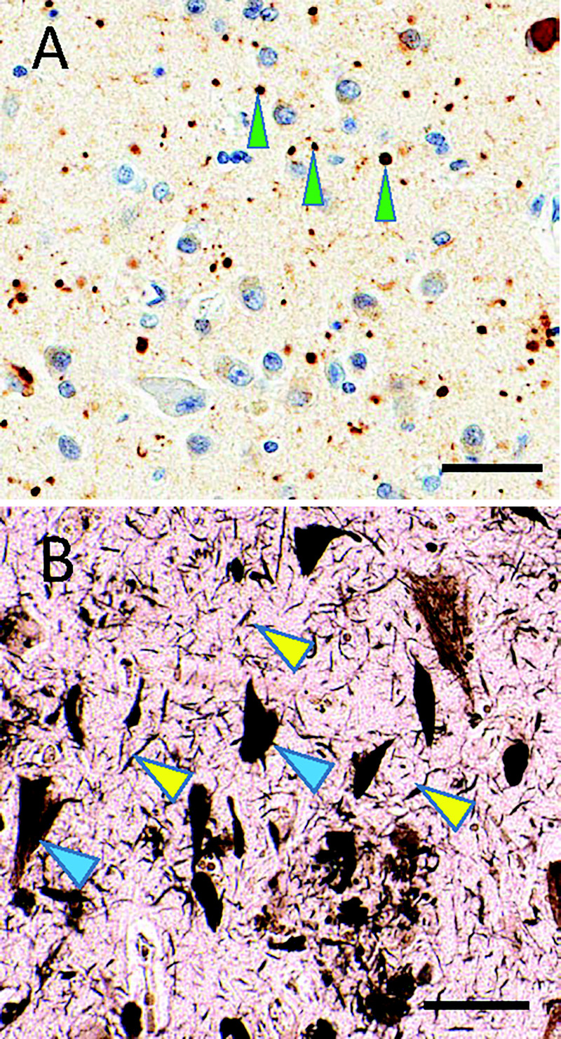 FIGURE 10-3