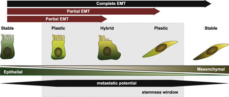 Figure 3