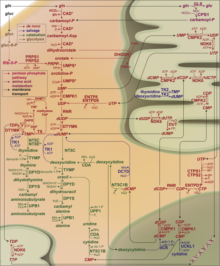 Figure 1