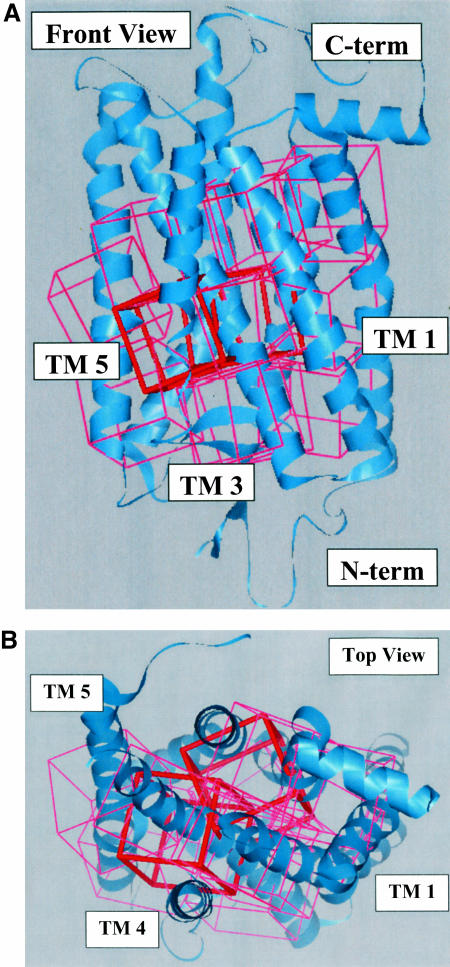 FIGURE 5