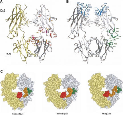 FIGURE 6.