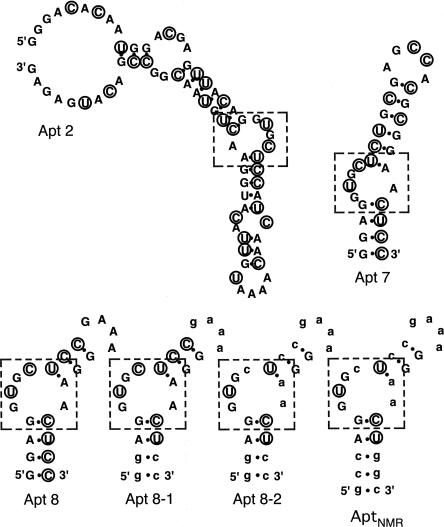 FIGURE 1.