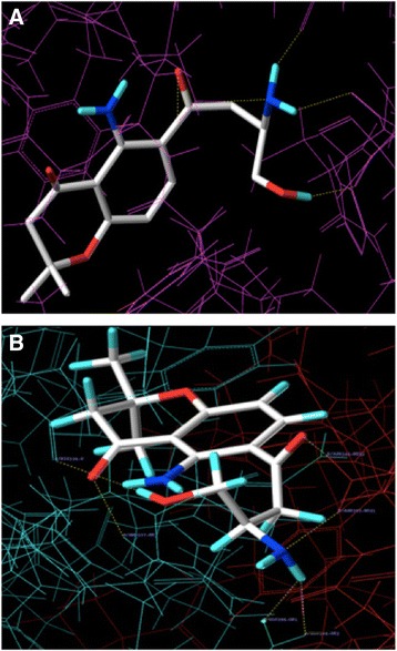 Fig. 17