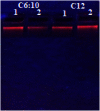 Fig. 14
