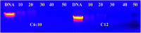 Fig. 13