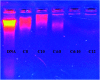 Fig. 11