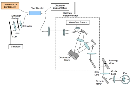 FIGURE 2