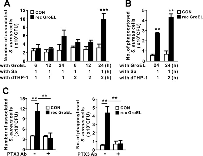 FIG 6