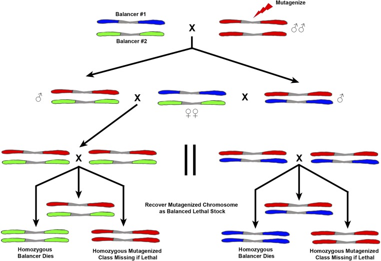 Figure 15