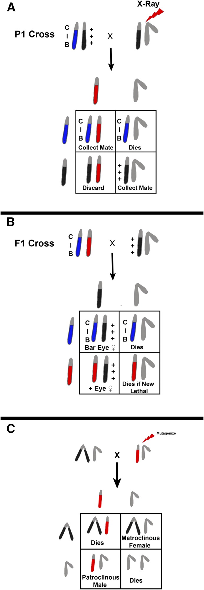 Figure 14