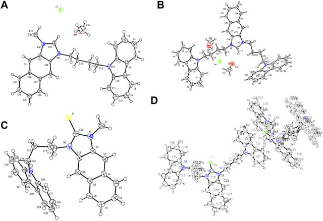 FIGURE 1