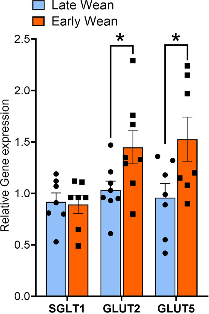 Figure 5.