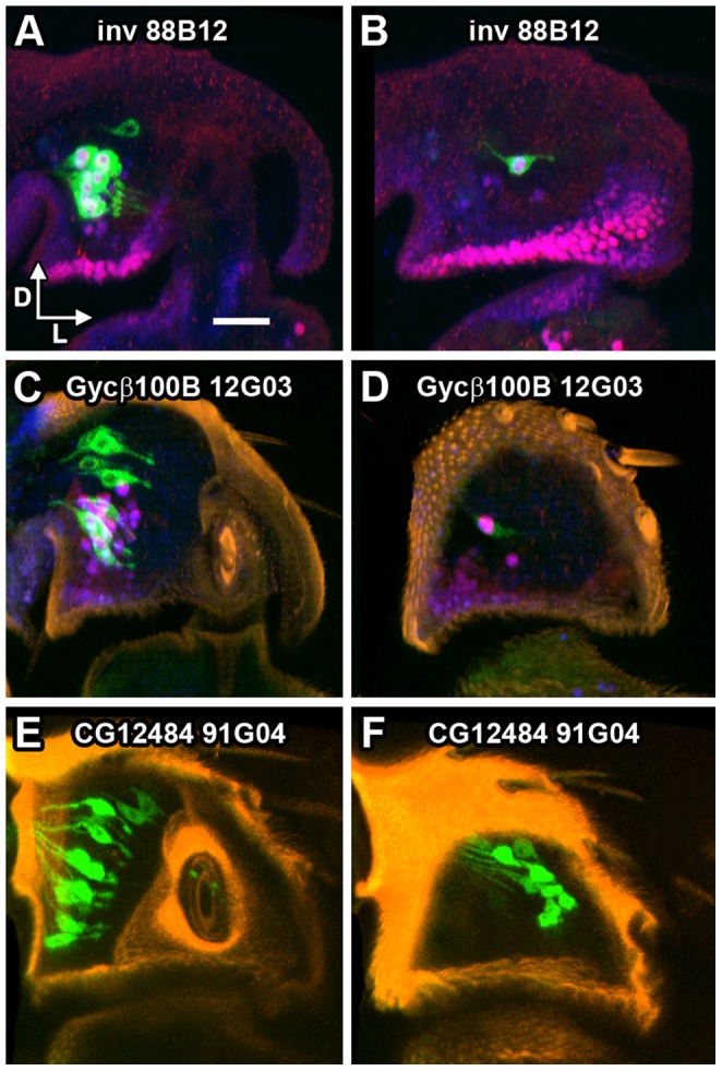 Figure 6