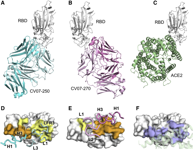 Figure 3