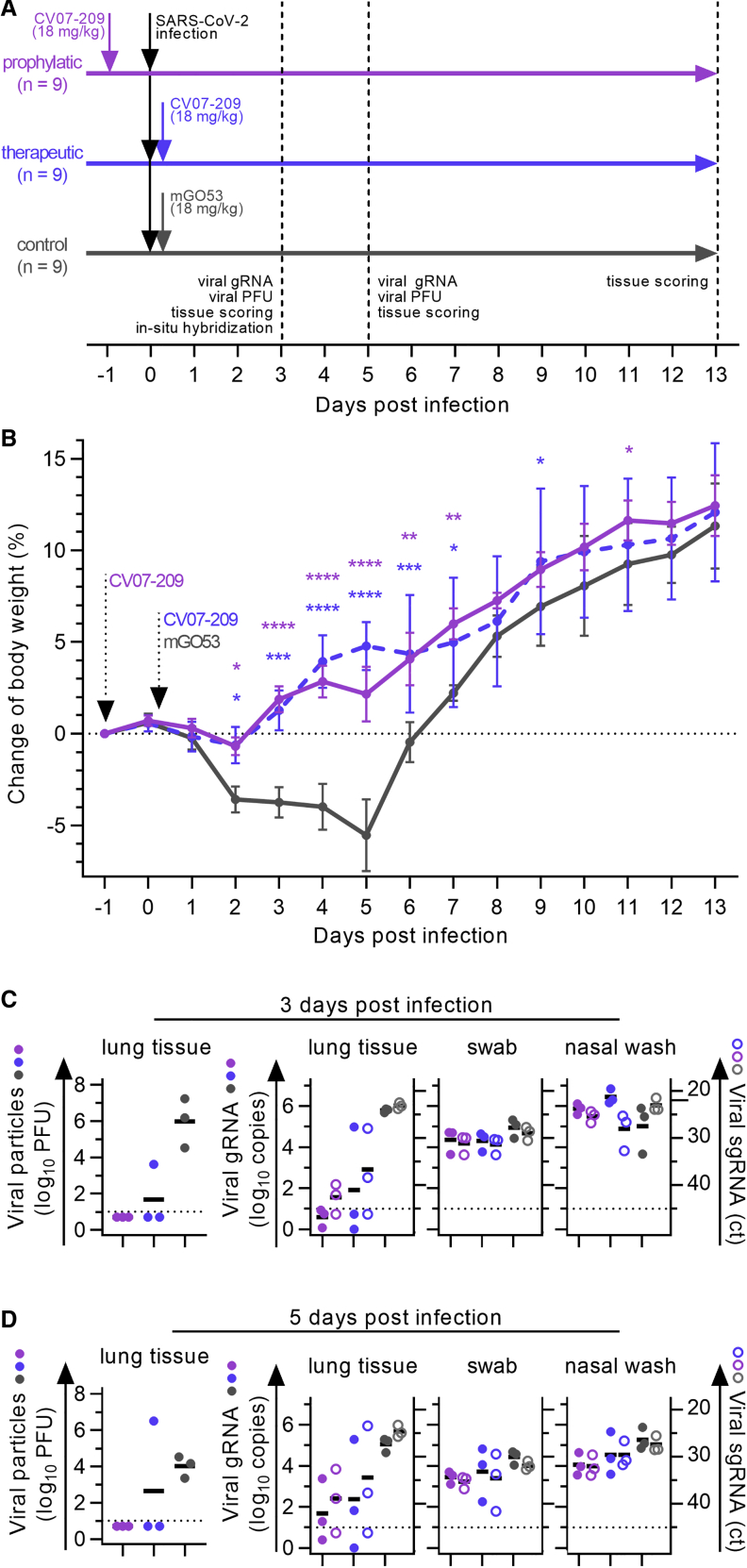 Figure 5