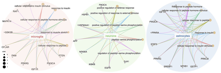 FIGURE 3