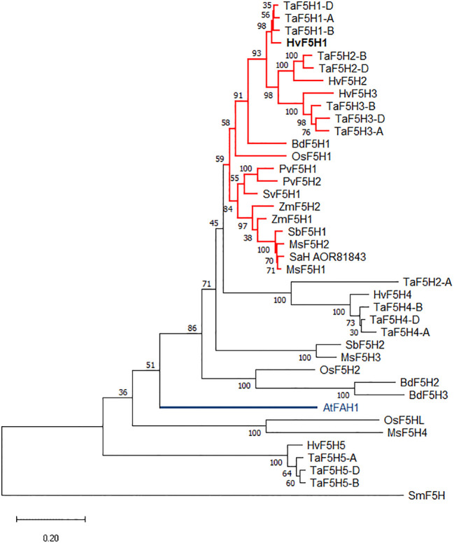 Figure 1