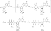 Scheme 1<sup><i>a</i></sup>