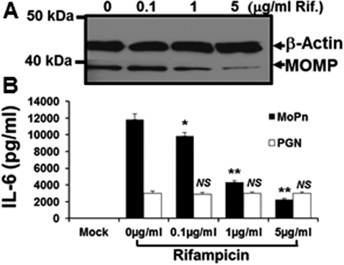 Fig 8