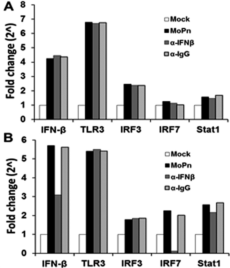 Fig 5