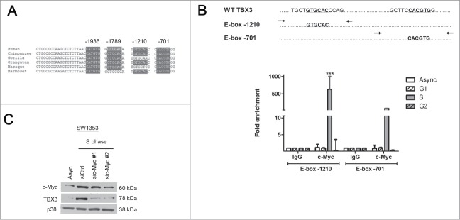 Figure 4.