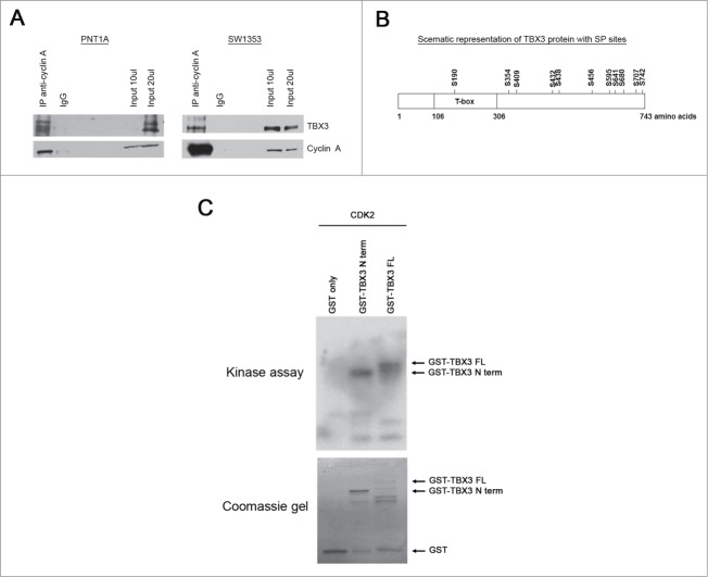 Figure 7.