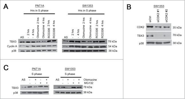 Figure 6.